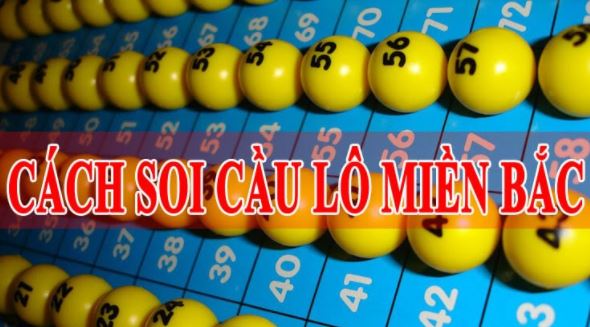 Kinh nghiệm nuôi lô chuẩn và hiệu quả nhất