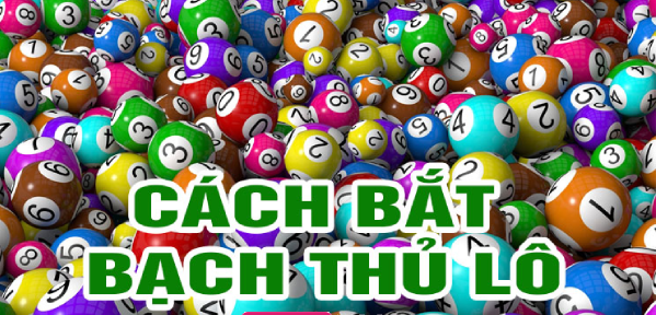 kinh nghiệm bắt bạch thủ lô siêu chuẩn không bao giờ thua