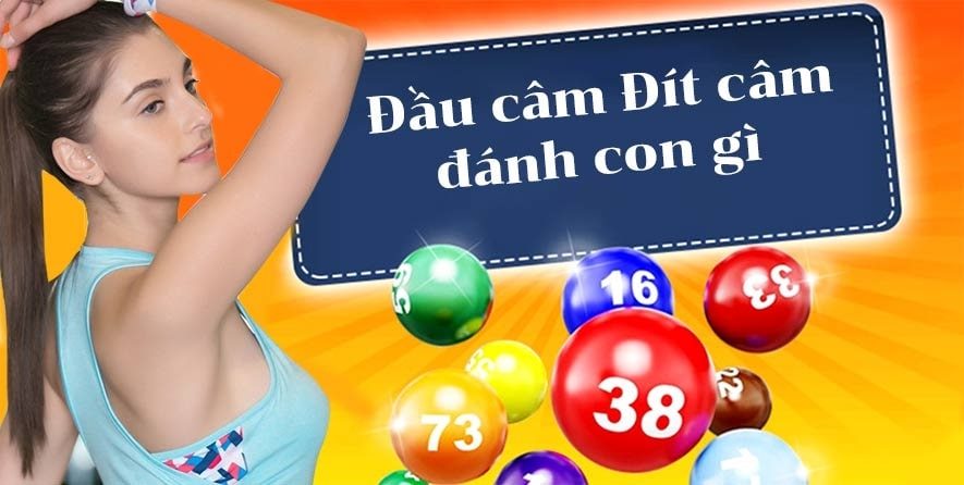 Kinh nghiệm đánh lô đề đầu đuôi câm hiệu quả