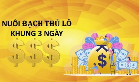 Lô bạch thủ khung 3 ngày